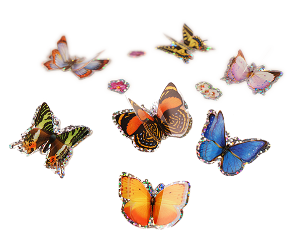 7 shimmering blue, orange, pink and brown 3D butterfly stickers.