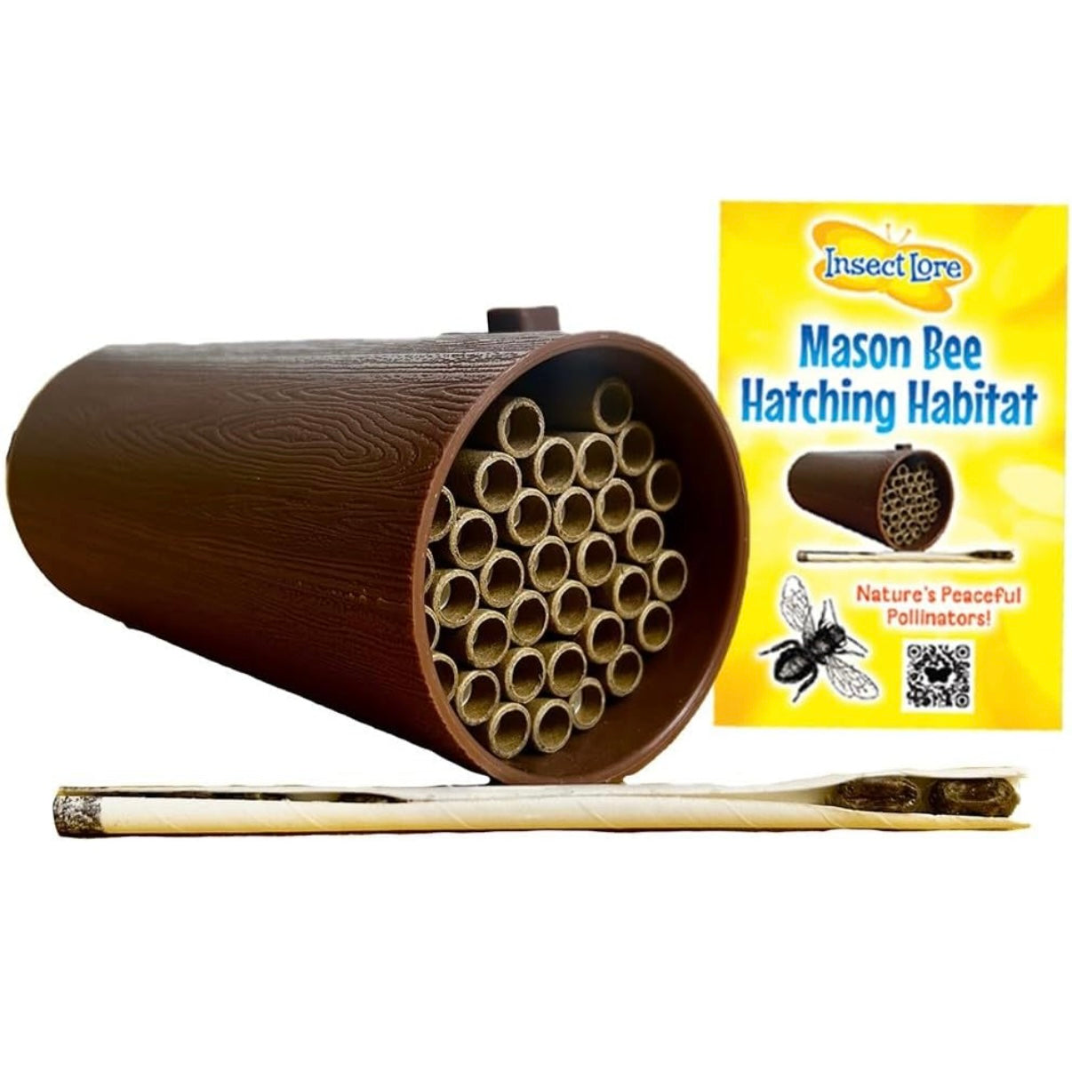 Mason Bee Hatching Habitat with Live Mason Bee Cocoons