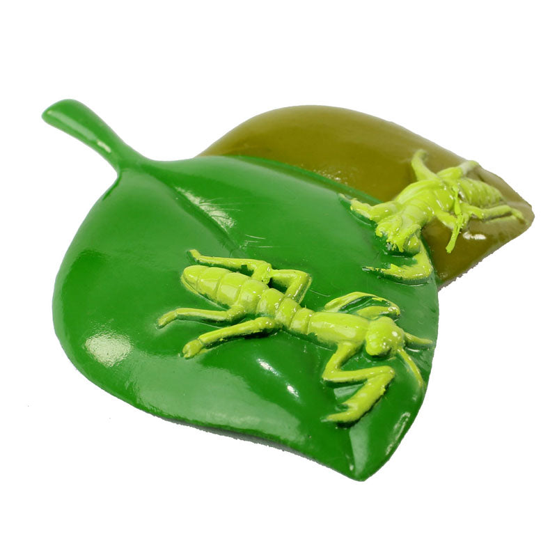 Realistic, plastic, green nymphs stage of the praying mantis life cycle stages on a green leaf.