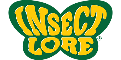 InsectLore Staging