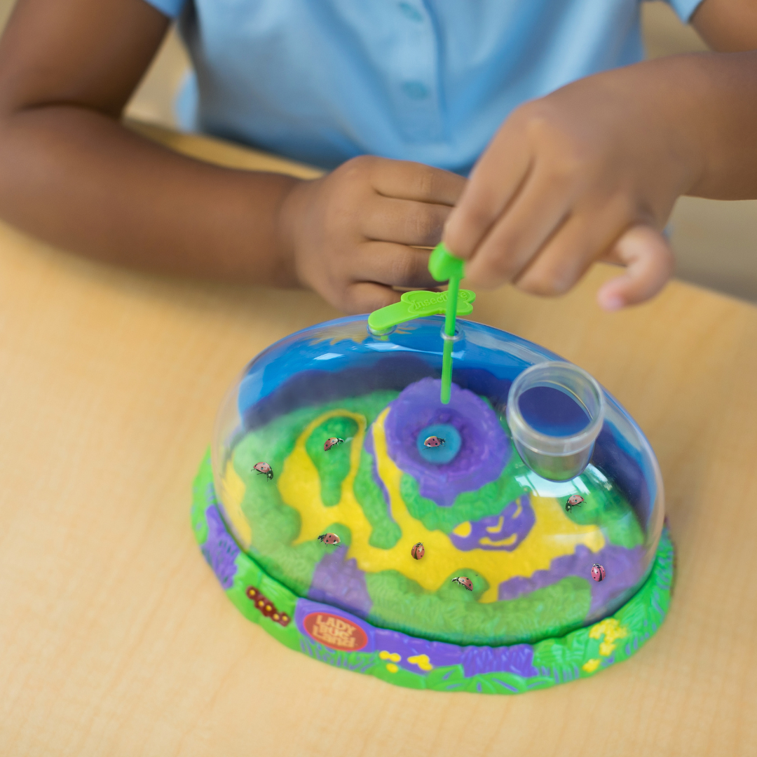 Ladybug Land® With PREPAID Voucher