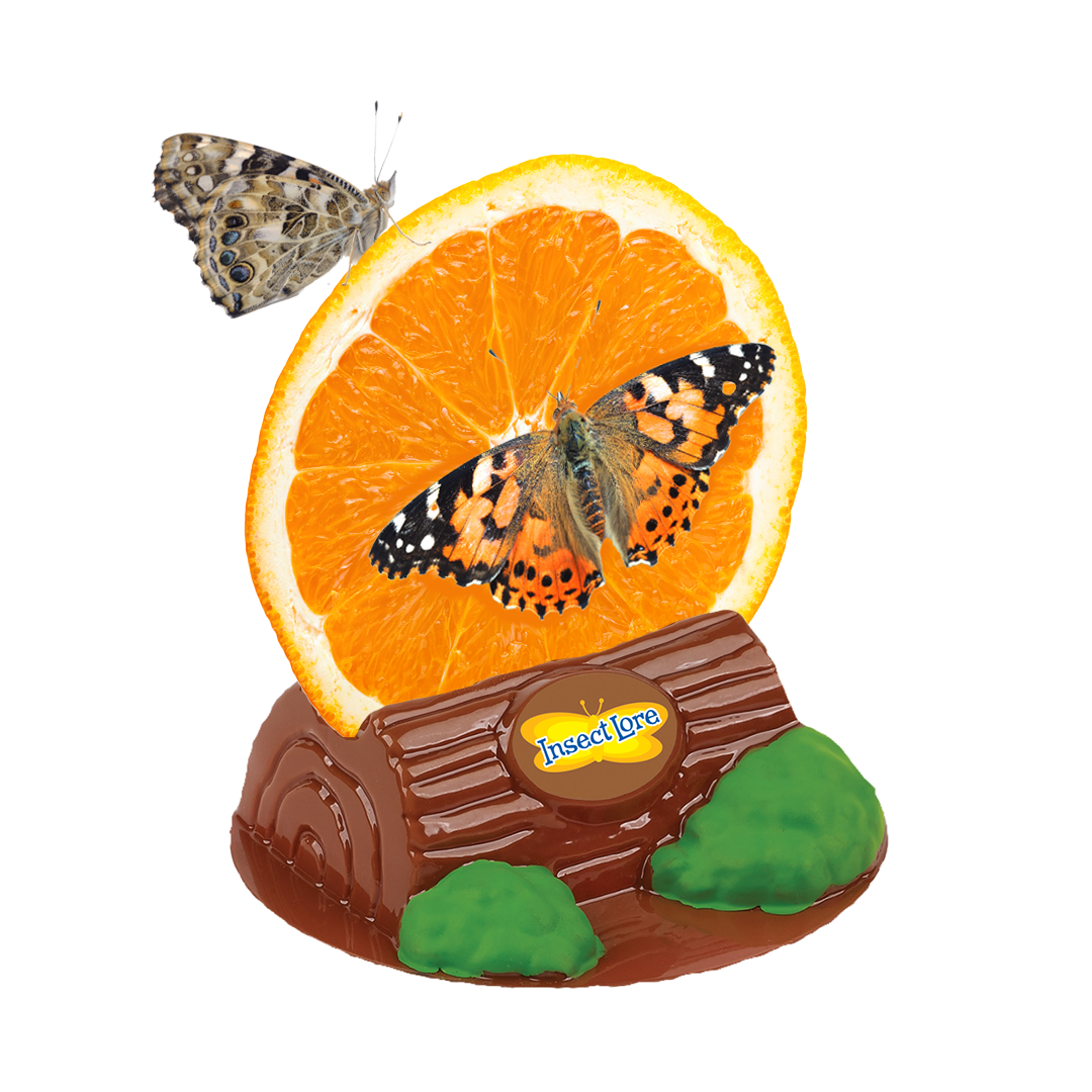 Butterfly Garden® With Live Cup of Caterpillars™ and FREE Junior Entomologist STEM Journal!
