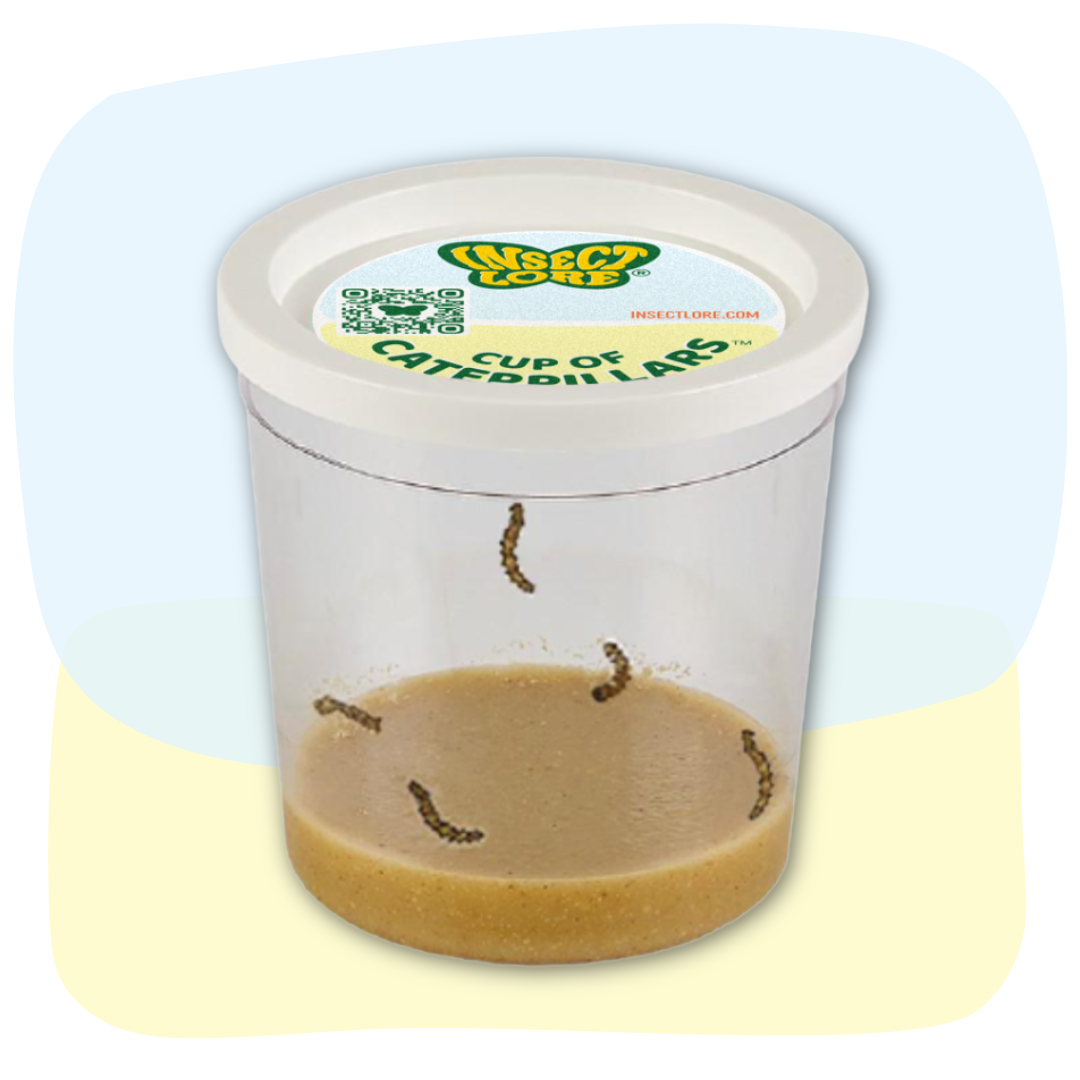 Cup Of Caterpillars™ Basic