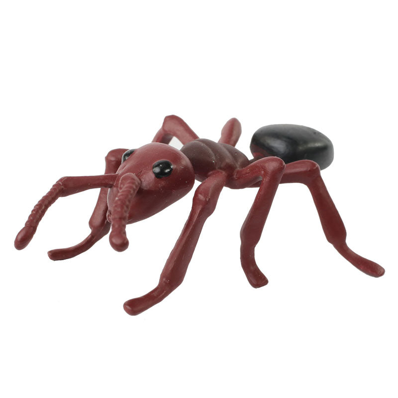 Front of the brown adult ant stage of the ant life cycle figurines set.