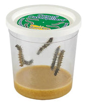 Larvae
